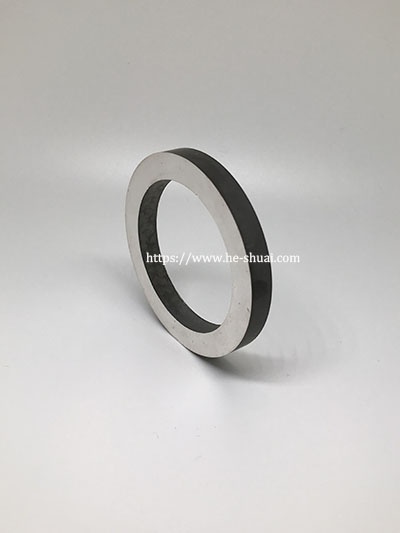 piezoelectric ring 003