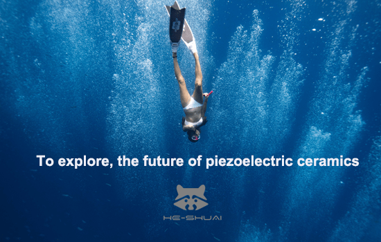 piezoceramicsfuture